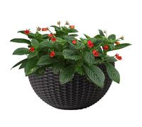Pot de fleurs mural en imitation rotin, pots de fleurs suspendus en demi-cercle, pour fleurs, conteneur semi-circulaire moderne pour d'intérieur pour clôture, appartement, balcon
