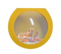 Pot de fleurs mural transparent Tillandsia | Pot de fleurs mural - Boule aplatie - Station de propagation pour plantes aériennes et succulentes - B - Jaune
