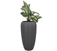 Pot De Fleurs - Non Spécifié - Rond 40 Cm - H 75 Cm - Plastique Résistant - Couleur Anthracite Multicolore