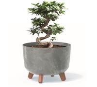 Pot de fleurs pieds jardiniere rond 29 cm bac a fleurs plastique gris béton