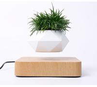 Pot de fleurs Pot de plantes flottant magnétique pour plantes avec base en bois de chêne naturel