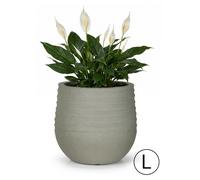 Pot de Fleurs pour Jardin Terrasse Balcon Maison Mazovia Résistant au Gel, aux UV, Imperméable Gris PP 54x54x49,5 cm