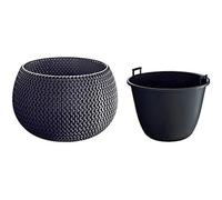 Pot De Fleurs - Prosperplast - Splofy Bowl - Plastique - Anthracite - 2,3 L - Rond Multicolore