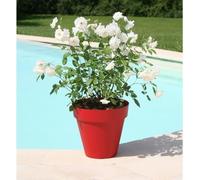 Pot de fleurs RIVIERA, Rond Ø 49 x 44,8 cm, Rouge, 50 L, Polypropylène