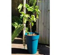 Pot de fleurs - RIVIERA - SOLEILLA - Plastique - H52 x D39 cm - Bleu Bleu