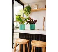 Pot de fleurs rond Ø 22 cm - Durable et fabriqué à partir de déchets marins recyclés - Parfait pour l'intérieur