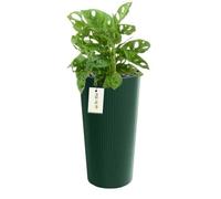 Pot De Fleurs Rond - Non Spécifié - Ø 20 Cm - H 38.5 Cm - Vert - Motif À Rayures Verticales Multicolore