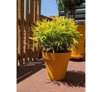 Pot de fleurs rond RIVIERA SOLEILLA, Plastique, D59 x H54 cm, 83L, Jaune