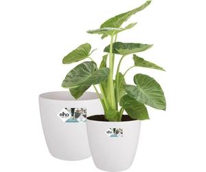 Pot de Fleurs Rond sur Roulettes Elho Brussels, Lot de 2, Ø35 et Ø39 cm, 55 L, Blanc