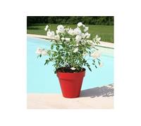 Pot de fleurs Soleilla - Rond - Ø 49 x 44,8 cm - Rouge