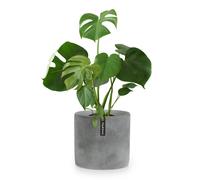 Pot de fleurs Venlo polystone intérieur et extérieur 3 tailles