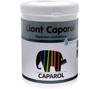 SENNELIER - caparol 1kg