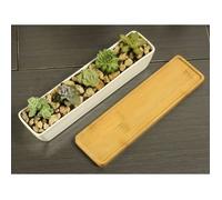 Pot de plantes succulentes pot en céramique - petit pot récipient avec plateau en bambou pour plantation de mini plantes