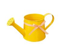 Pot décoratif en métal 1L | Petit arrosoir avec arroseur | Arrosoir décoratif | Bouilloire d’arrosage en Fer Blanc Vintage | Seau Douche en Fer Blanc pour Accessoire de Jardin intérieur et extérieur