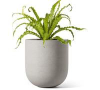 Pot en céramique de 15 cm, pot de culture avec trou de drainage, couleur gris, forme cylindrique, idéal pour les plantes d'intérieur, décoration