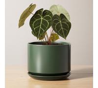 Pot en céramique de 17 cm avec trou de drainage et soucoupe, idéal pour les plantes d'intérieur, couleur vert forêt