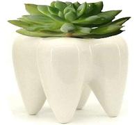 Pot En Céramique En Forme De Dent Pour Ranger Stylos, Pinceaux, Brosses À Dents Ou Comme Pot De Fleurs - Pièce Décorative Faite À La Main