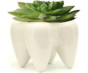 Pot En Céramique En Forme De Dent Pour Ranger Stylos, Pinceaux, Brosses À Dents Ou Comme Pot De Fleurs - Pièce Décorative Faite À La Main