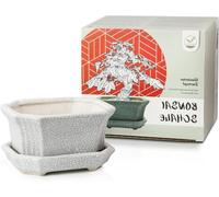 Pot en céramique pour bonsaï - Idéal pour la décoration de plantes - Doté d'un trou de drainage - Dimensions : 11 x 6,5 x 9 cm - Couleur : gris