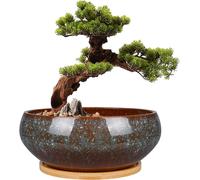 Pot en céramique pour bonsaï - Pot pour plantes grasses - Plante d'intérieur - Avec soucoupe en bambou - 20 cm - Marron