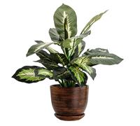 Pot en céramique rond avec soucoupe brun foncé 30,5 cm brillant avec trou de drainage