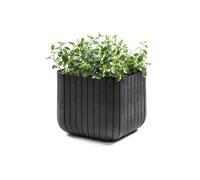 Pot en forme de cube, modèle M