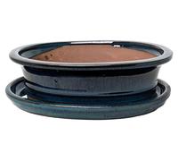 Pot en verre pour bonsaï avec soucoupe, couleur bleue, 20 cm