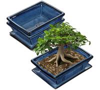 Pot pour bonsaï - Ensemble de 2 pièces - En céramique - Soucoupe - Orifices de drainage - Diamètre de l'ouverture : 26 cm - Durable et résistant aux intempéries - Pot pour plantes