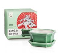 Coupe Bonsaï en céramique avec soucoupe en vert jade - Pot Bonsaï carré pour une mise en scène parfaite de votre Bonsaï d'intérieur - 11 x 6,5 x 9 cm