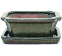 Pot pour bonsaï - Pot pour plantes - Pour décorer les plantes - Inclut une soucoupe - Longueur : 12 cm - Couleur olive