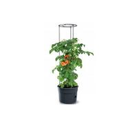 Jardinière de tomates Prosperplast Jardinière de tomates en plastique de couleur anthracite 29,5 (L) x 29,5 (l) x 23,6-115,2 (H) cm