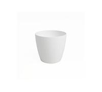 Pot - - San Remo - 30 Ma - Blanc