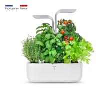 Potager d'intérieur Véritable® SMART Arctic White, inclus 4 Lingots® : Basilic grand vert, Persil frisé, Ciboulette et Thym