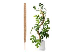 Poteau en mousse pour - Fil en fibre d'aluminium de 100 cm