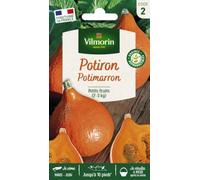 Potiron Potimarron - Vilmorin - Potagères | Potiron Uchiki Kuri (Potimarron) | Goût très fin