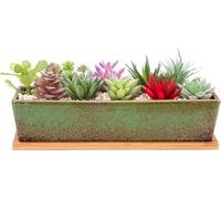 pots à plantes succulentes rectangulaires de 30 cm de long avec bac de drainage - pots à fleurs en céramique pour cactus - plantes d'intérieur/d'extérieur - boîte plate pour fenêtre bonsaï - décoratio