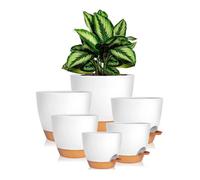 Pots auto-arrosants - iDattel - Lot de 6 - Polypropylène blanc - Indicateur niveau d'eau