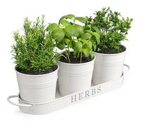 Pots de Fleurs de Ferme, kit de Jardin d'herbes aromatiques avec Plateau, Pots de fenêtre pour Plantes d'intérieur (Blanc)