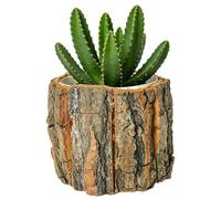 Pots de fleurs d'intérieur - Écorce de souche d'arbre rustique imperméable - Pots décoratifs d'intérieur pour , pour la maison, le salon, la chambre à coucher, le bureau, la ferme