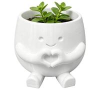 pots de fleurs, ensemble de pots de fleurs, décoration de croissance pour de bureau, maison, bureau, balcon, rebord de fenêtre, petit récipient de fleurs, salon, chambre à coucher, étude
