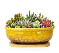 pots de fleurs rectangulaires de 20 cm de long avec plateau de drainage, pots peu profonds pour plantes d'intérieur - Pots de cactus en céramique émaillée pour décoration de rebord de fenêtre de