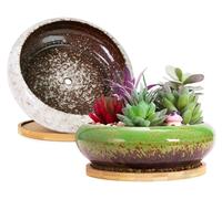 Pots pour plantes grasses, 2 pièces, grands pots avec drainage, pots peu profonds de style bonsaï avec soucoupes