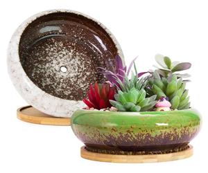 Pots pour plantes grasses, 2 pièces, grands pots avec drainage, pots peu profonds de style bonsaï avec soucoupes