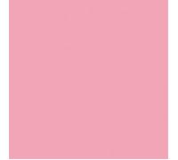 Poudre d'émaillage à froid opaque Efcolor 10 ml - rose
