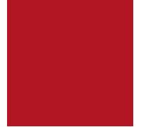 Poudre d'émaillage à froid opaque Efcolor 10 ml - rouge