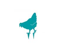 Poule miss chabo à planter - bleu turquoise