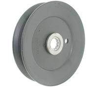 Poulie de palier MTD 7560969 - 756-0969