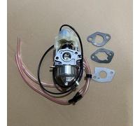 pour carburateur Carb pour Huayi pour Predator 3500 Watts générateur onduleur 63584