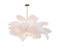 pour Le Salon à Manger Romantique Princesse Chambre, américain créatif Autruche e14 + LED Auxiliary Source Nordic Lig Luxury Plume -whi