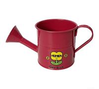 pour mini Iron Watering Can For Kids Garden Indoor Plants pour | pour durable Iron Build, Gentle Shower Spout, Safe Rounded Edges, Compact Lightweight Design, Colorful Cartoon Stickers